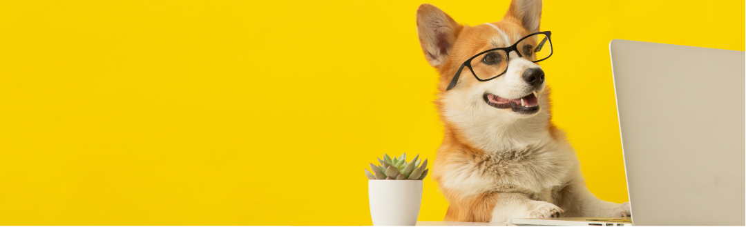 Seven tips for successful website translation