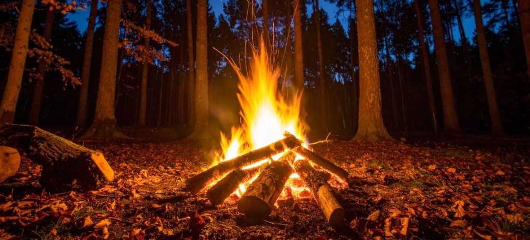 The origins of bonfire - The Language Factory - The Language Factory